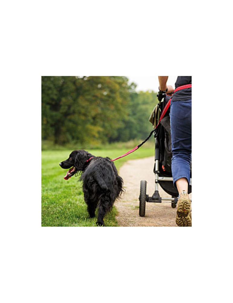 Halti Laisse All-In-One