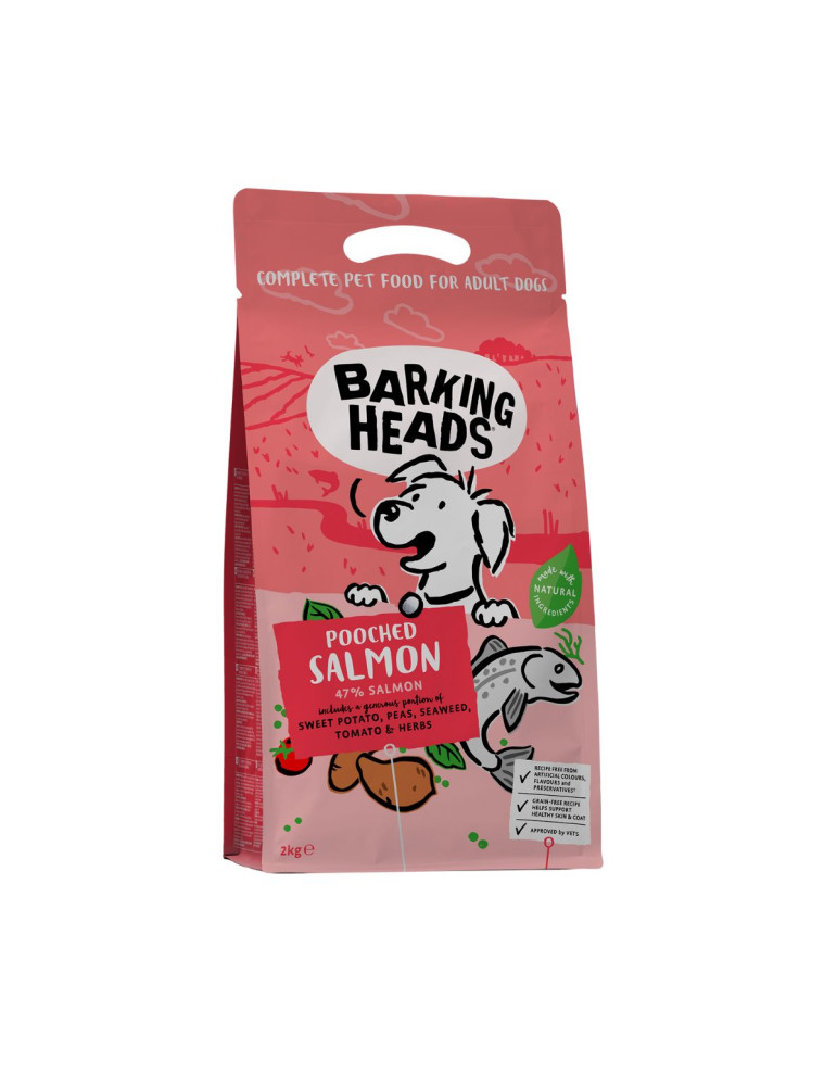 Barking Heads Chien Toute Race Saumon