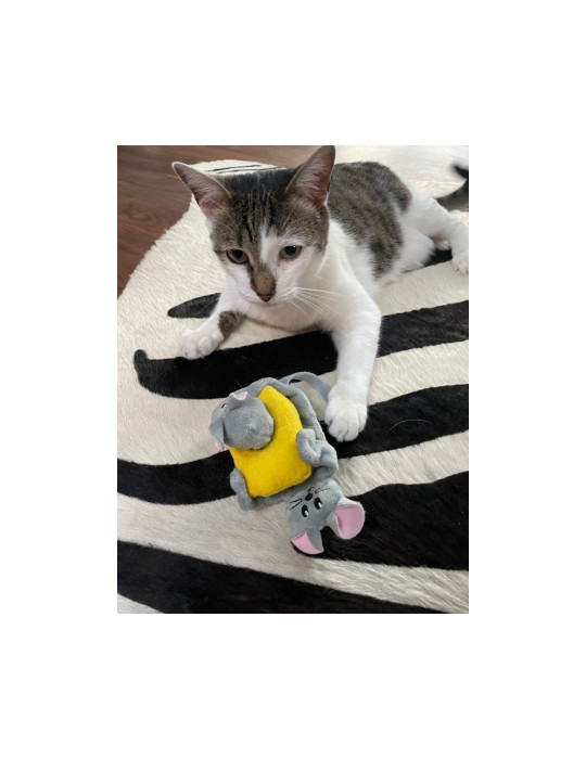 Kong Chat Jouet 3 en 1 avec herbe à chat