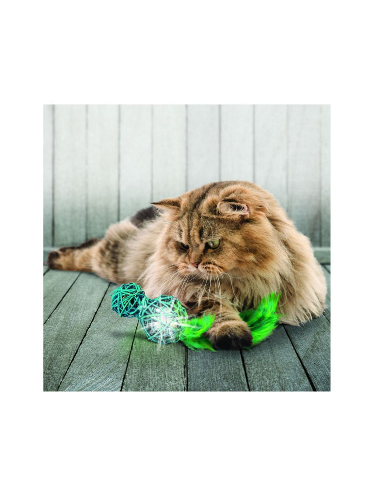 Kong Chat Jeu Wubba Wicker