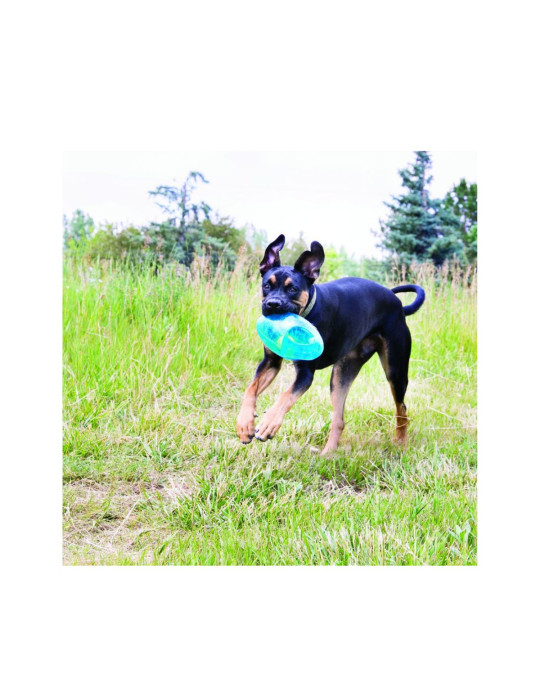 Kong Chien Jumbler Football