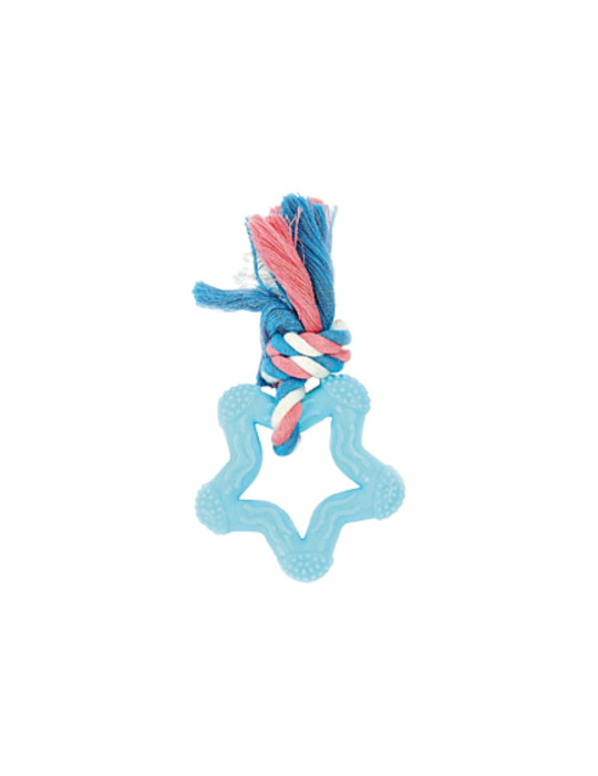 Jouet Chiot Star Teether