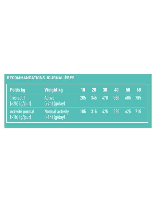 PRO TEAM SENSIBLE 3900