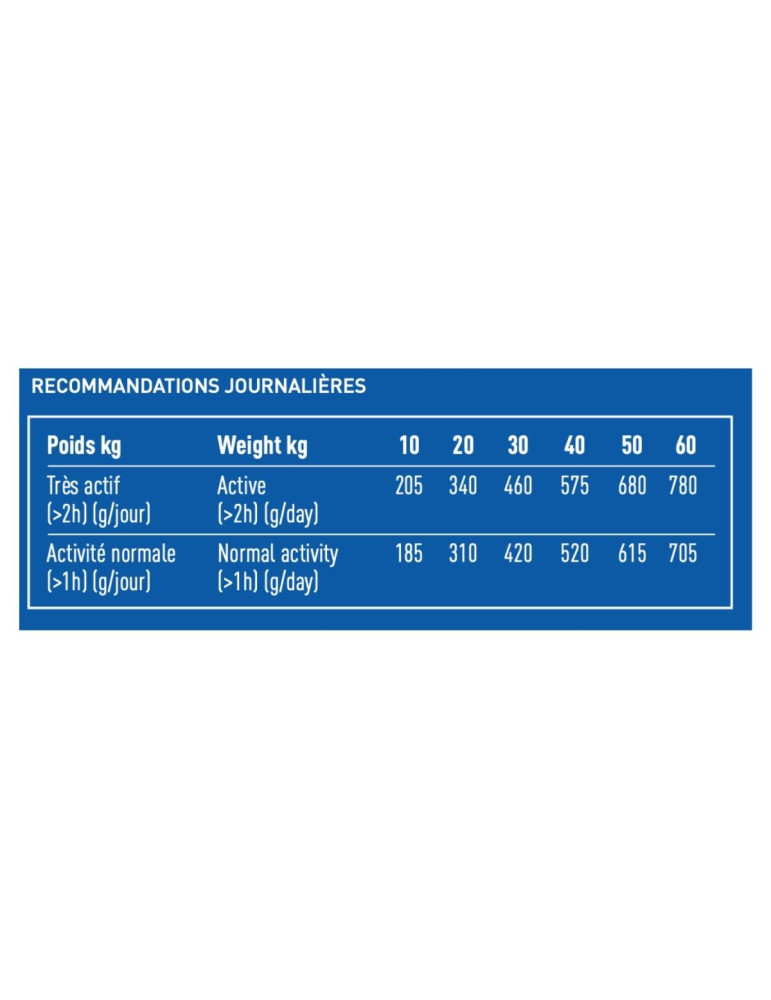 PRO TEAM PUISSANCE 4000
