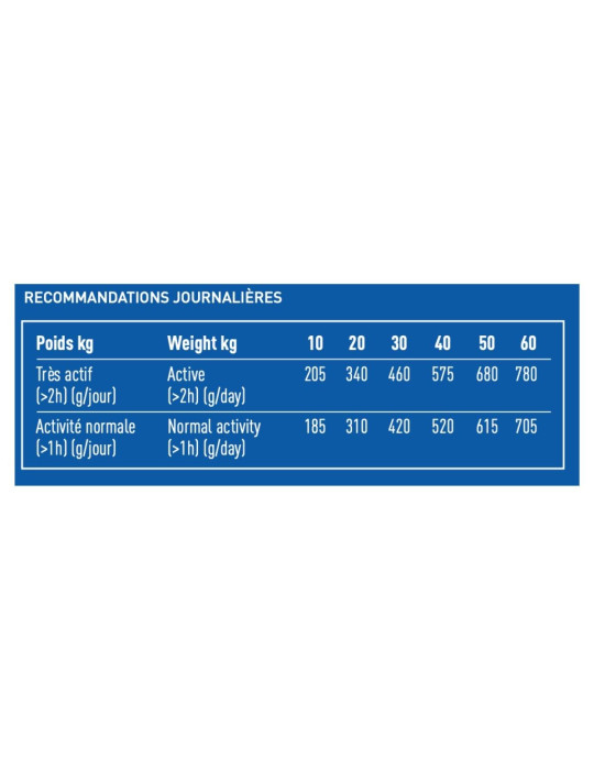 PRO TEAM PUISSANCE 4000