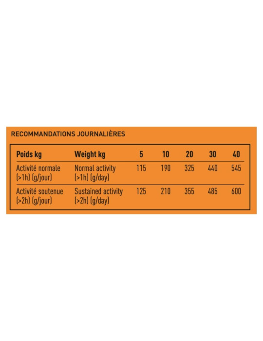 PRO TEAM ESSENTIEL 3800