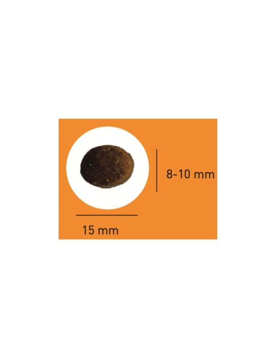 PRO TEAM ESSENTIEL 3800