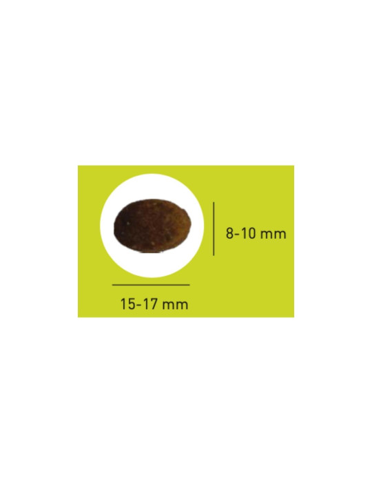 PRO TEAM EQUILIBRE 3700