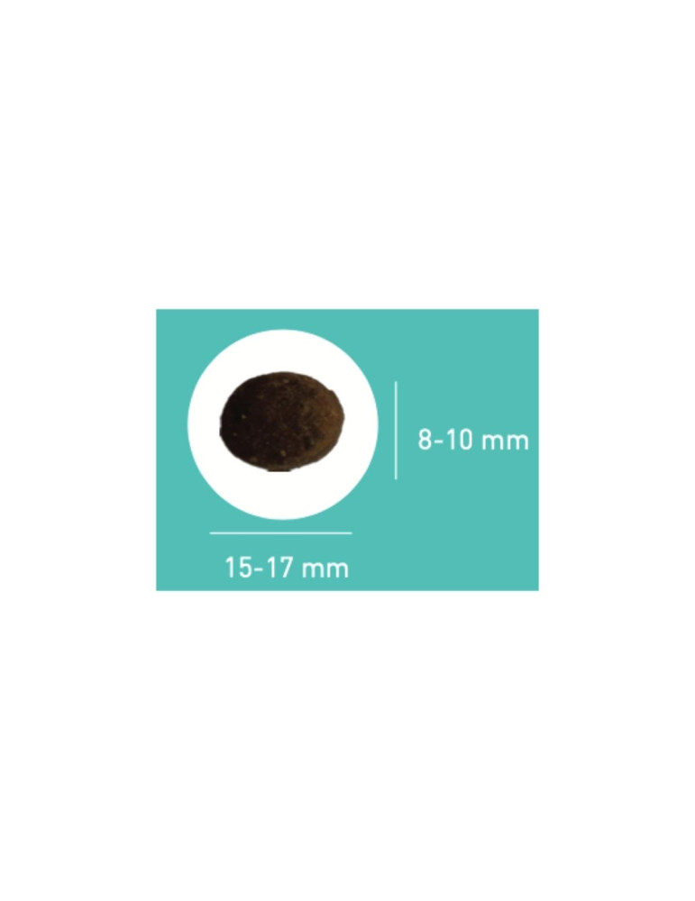 PRO TEAM SENSIBLE 3900