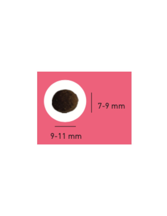 PRO TEAM CROISSANCE 4000