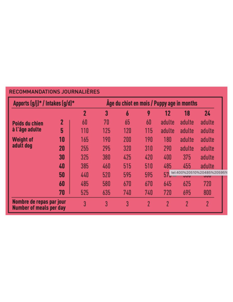PRO TEAM CROISSANCE 4000