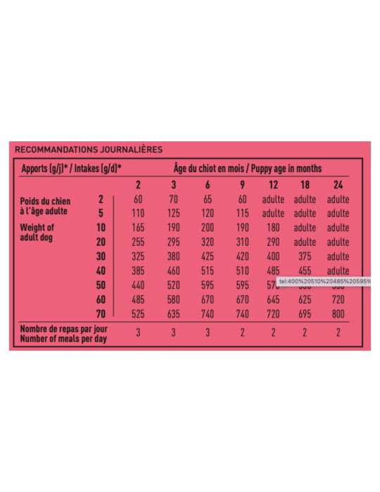 PRO TEAM CROISSANCE 4000