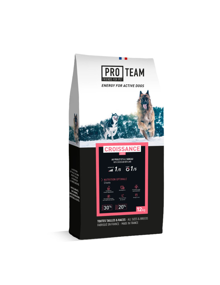 PRO TEAM CROISSANCE 4000