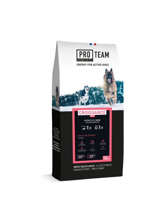 PRO TEAM CROISSANCE 4000