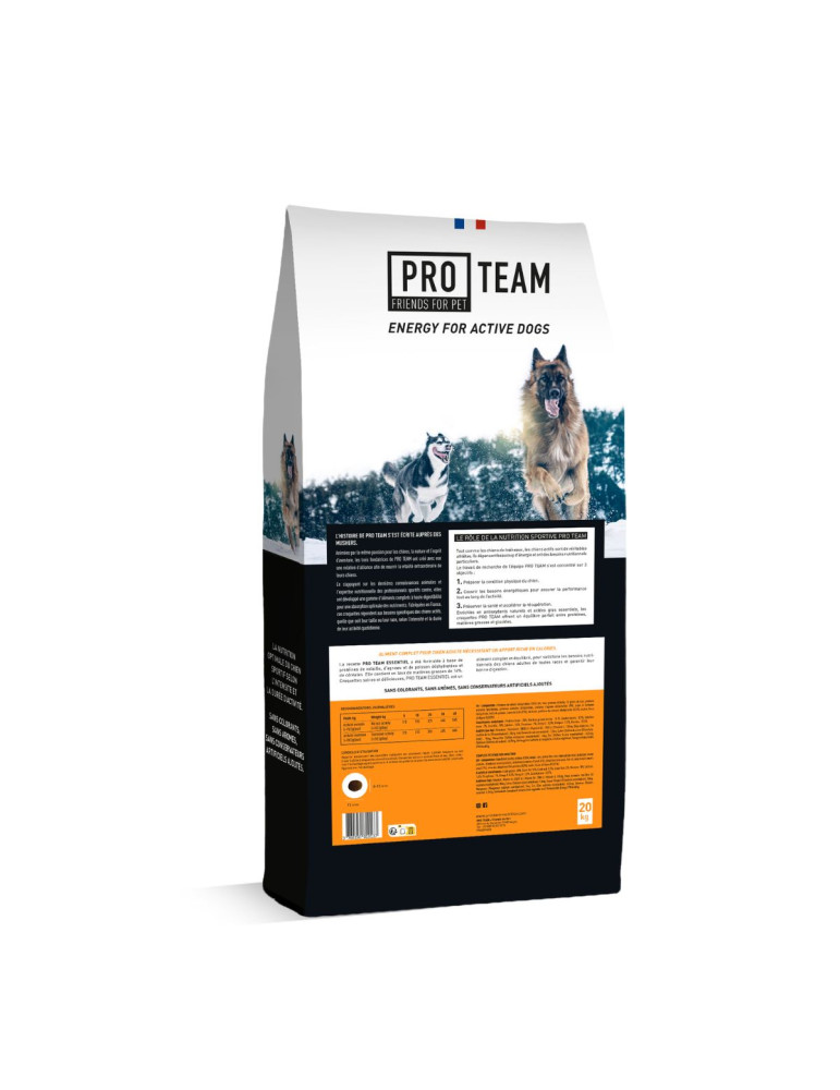 PRO TEAM ESSENTIEL 3800