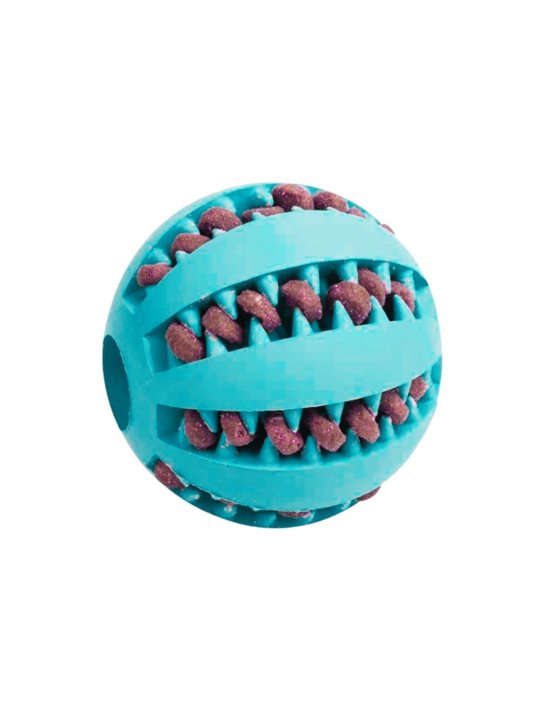 Chien Balle dentaire
