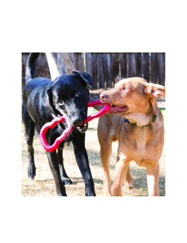 KONG Chien Tug Toy 2