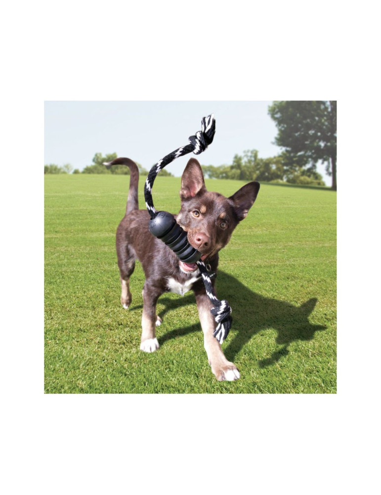 Kong Chien Dental avec corde