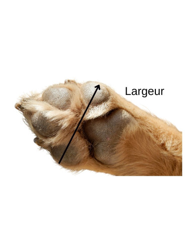 Bottine haute renforcée pour chien 2