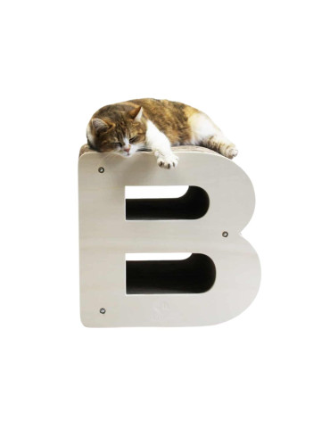 Griffoir Chat Lettre B Homycat 2