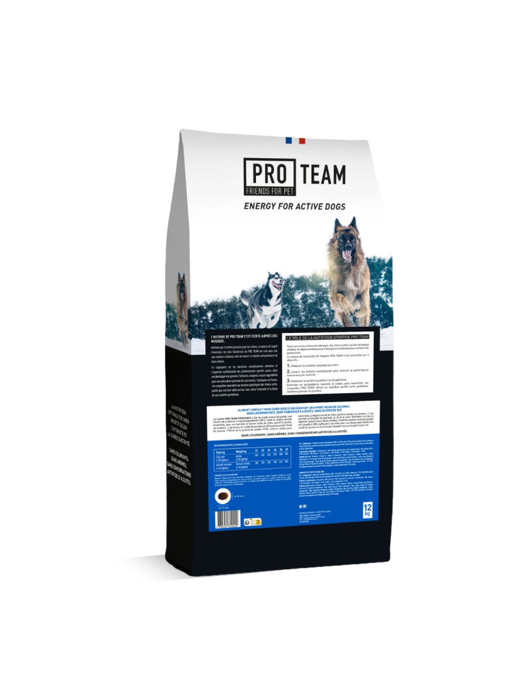 PRO TEAM PUISSANCE 4000