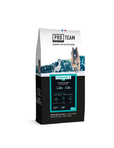 PRO TEAM SENSIBLE 3900