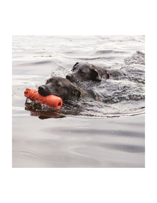 KONG Chien Training Dummy