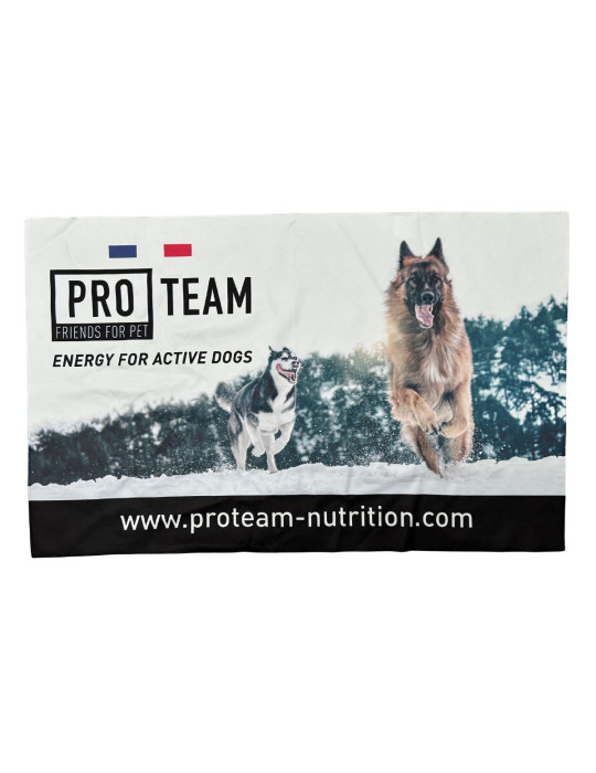 PRO TEAM SERVIETTE en Microfibre