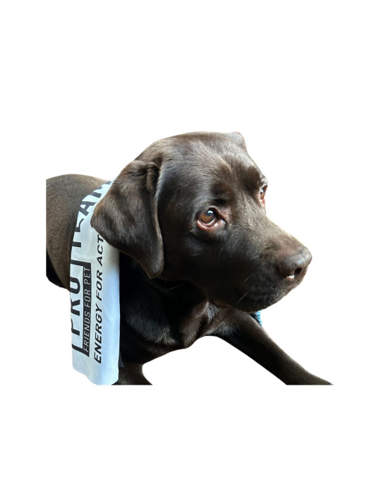 PRO TEAM SERVIETTE en Microfibre