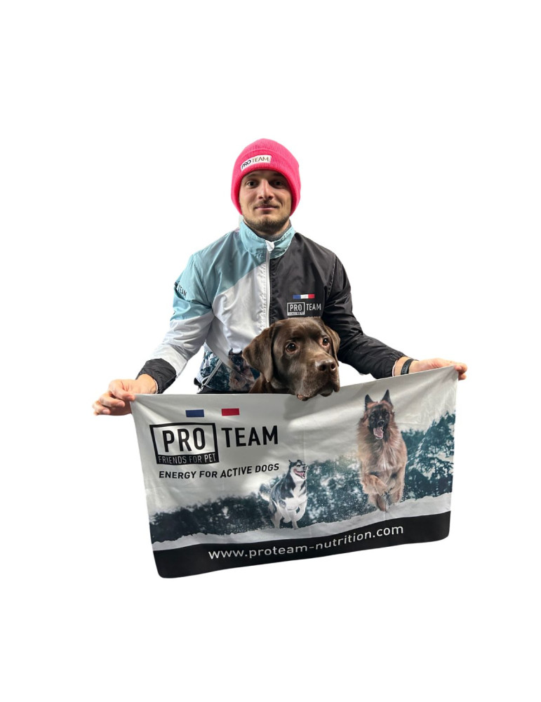 PRO TEAM SERVIETTE en Microfibre