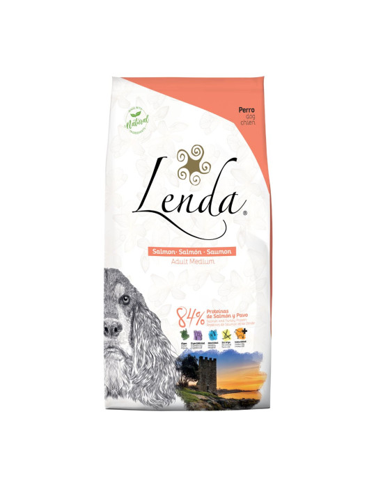 LENDA Chien "Salmon"