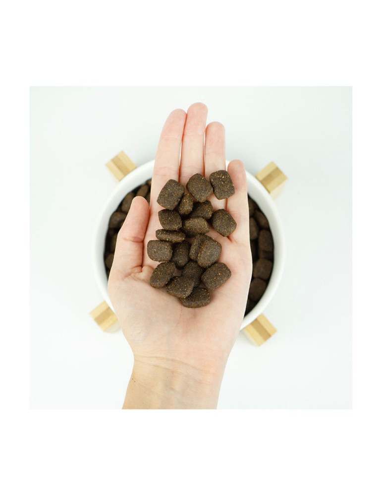 LENDA Chien "Chicken"