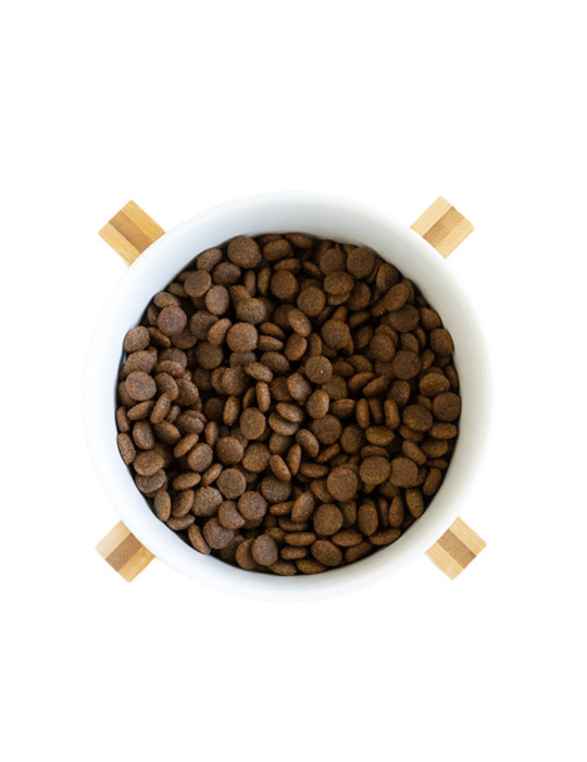 LENDA Chien " Senior - Mobility "