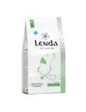 LENDA Chien "Vet Dog Urinary Struvite"