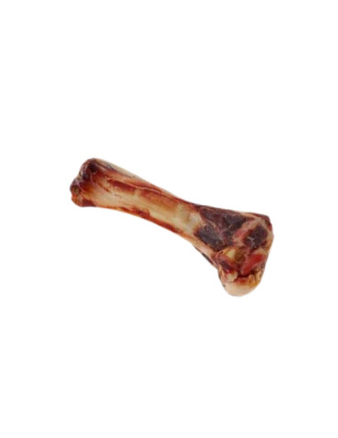 Ferribiella Chien Os Fémur