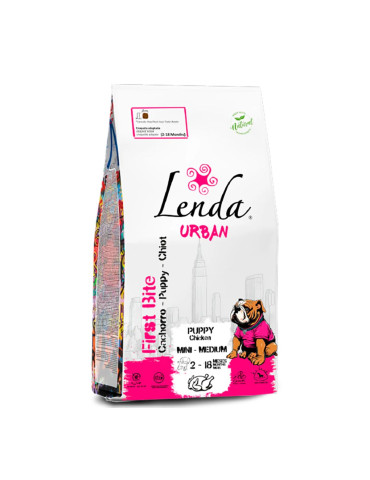 LENDA Chien Urban Chiot