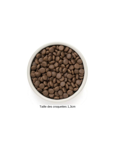 GRANDORF Chien Dinde - Medium & Maxi - supercroquettes 2