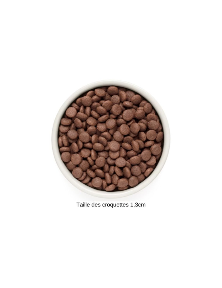 GRANDORF Chien Agneau et Dinde - Medium & Maxi