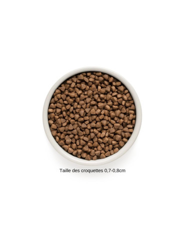 Croquettes GRANDORF Agneau et Dinde pour chats adultes - Activité normale, digestion délicate ou tendance à l'allergie. 2