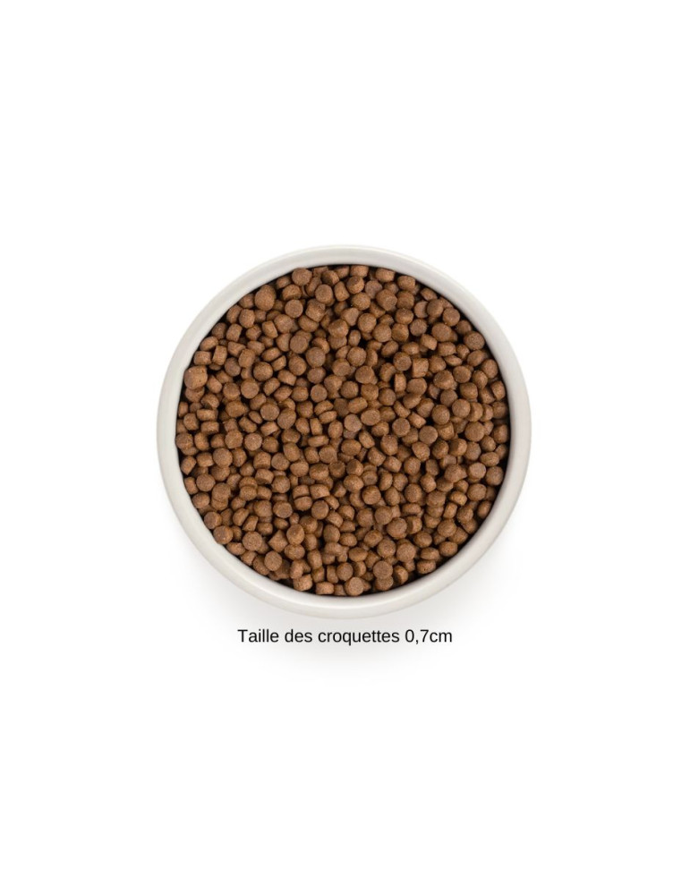 GRANDORF Chat Stérilisé 4 Viandes