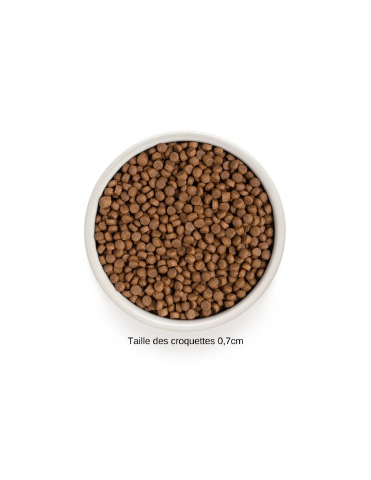 GRANDORF Chat Stérilisé 4 Viandes