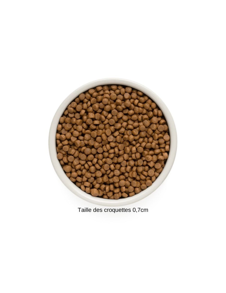 GRANDORF Chien 4 Viandes - Mini