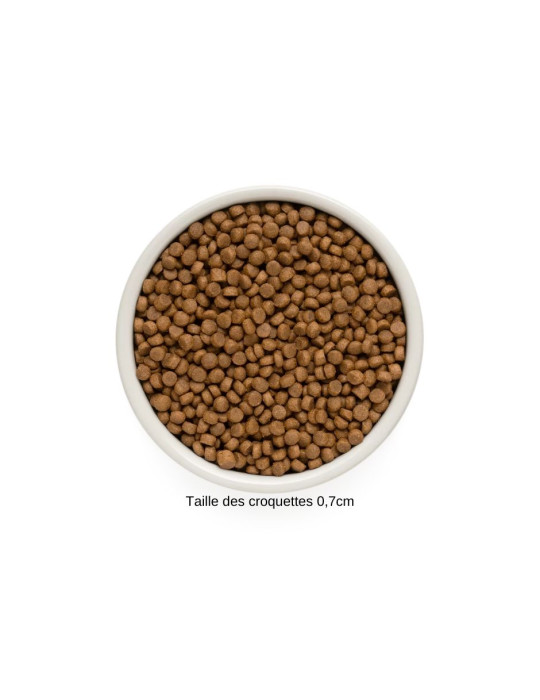 GRANDORF Chien 4 Viandes - Mini