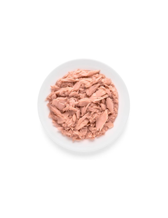 Pâtée Chat Grandorf Thon sans Céréales 70g