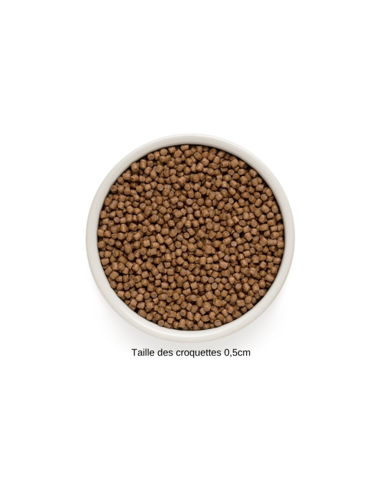 Croquettes Chaton Grandorf Agneau et Dinde – Aliment Complet Hypoallergénique