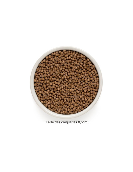 Croquettes Chaton Grandorf Agneau et Dinde – Aliment Complet Hypoallergénique