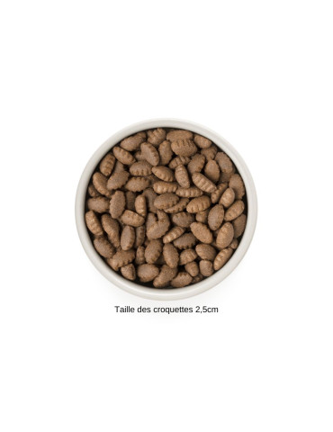 GRANDORF Croquettes pour Chien à la Dinde – Adulte Maxi 2