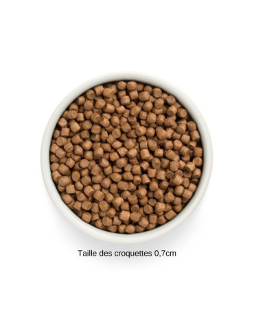 Croquettes pour chiot à l'agneau- Grandorf Fresh 2