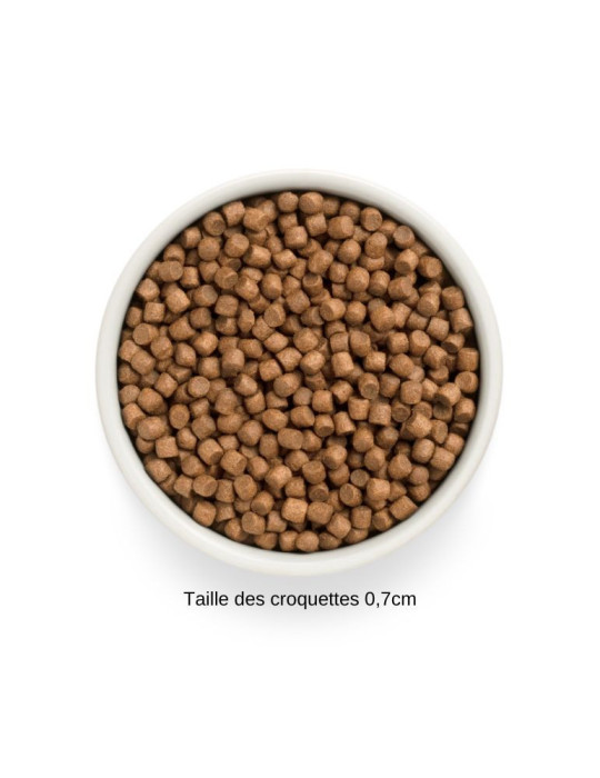 Croquettes chiot  sans céréales - Agneau - Grandorf Fresh