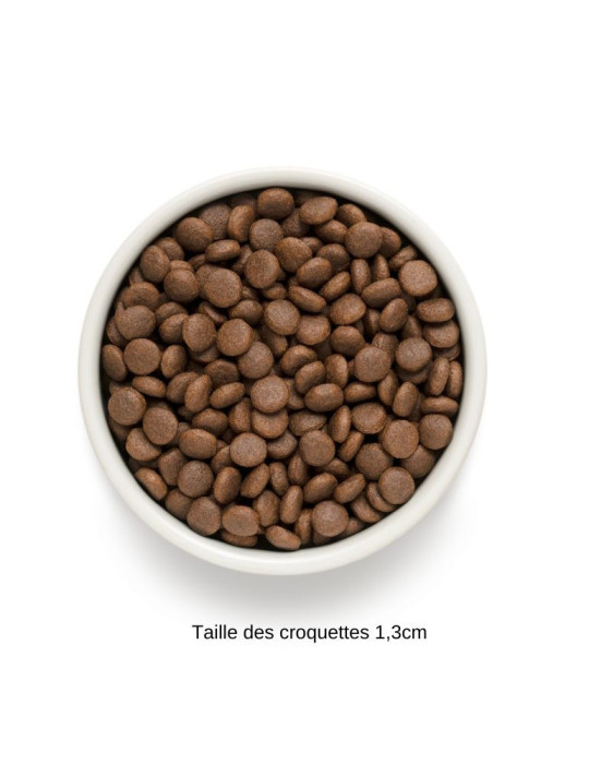 Croquettes junior - Moyenne et grande race - Sans céréales - Agneau - Grandorf Fresh